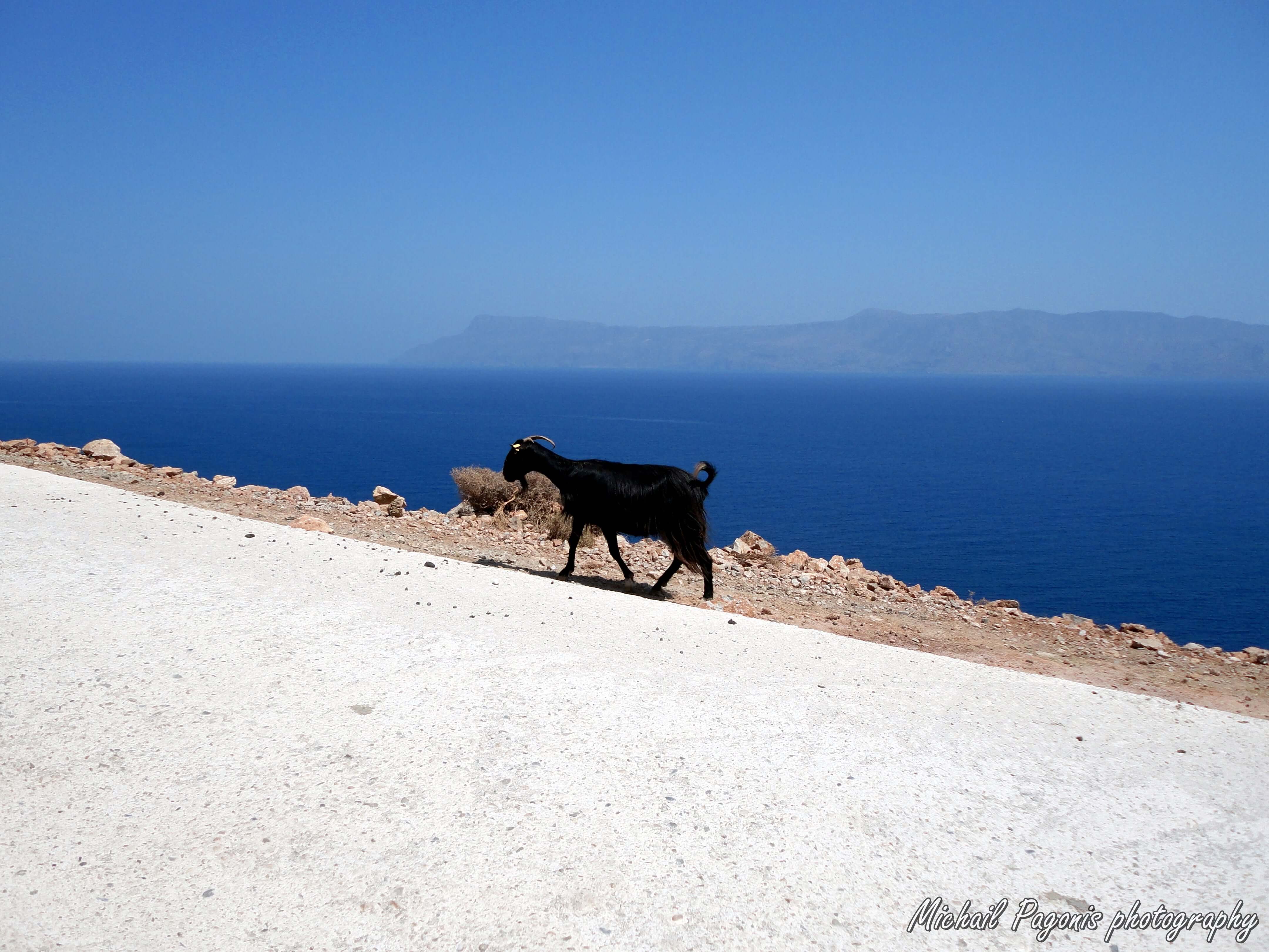 Μπάλος, Κρήτη